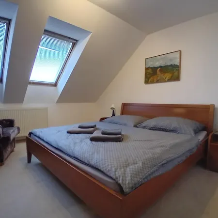 U Vodohospodarov Aparthotel Banska Stiavnica
